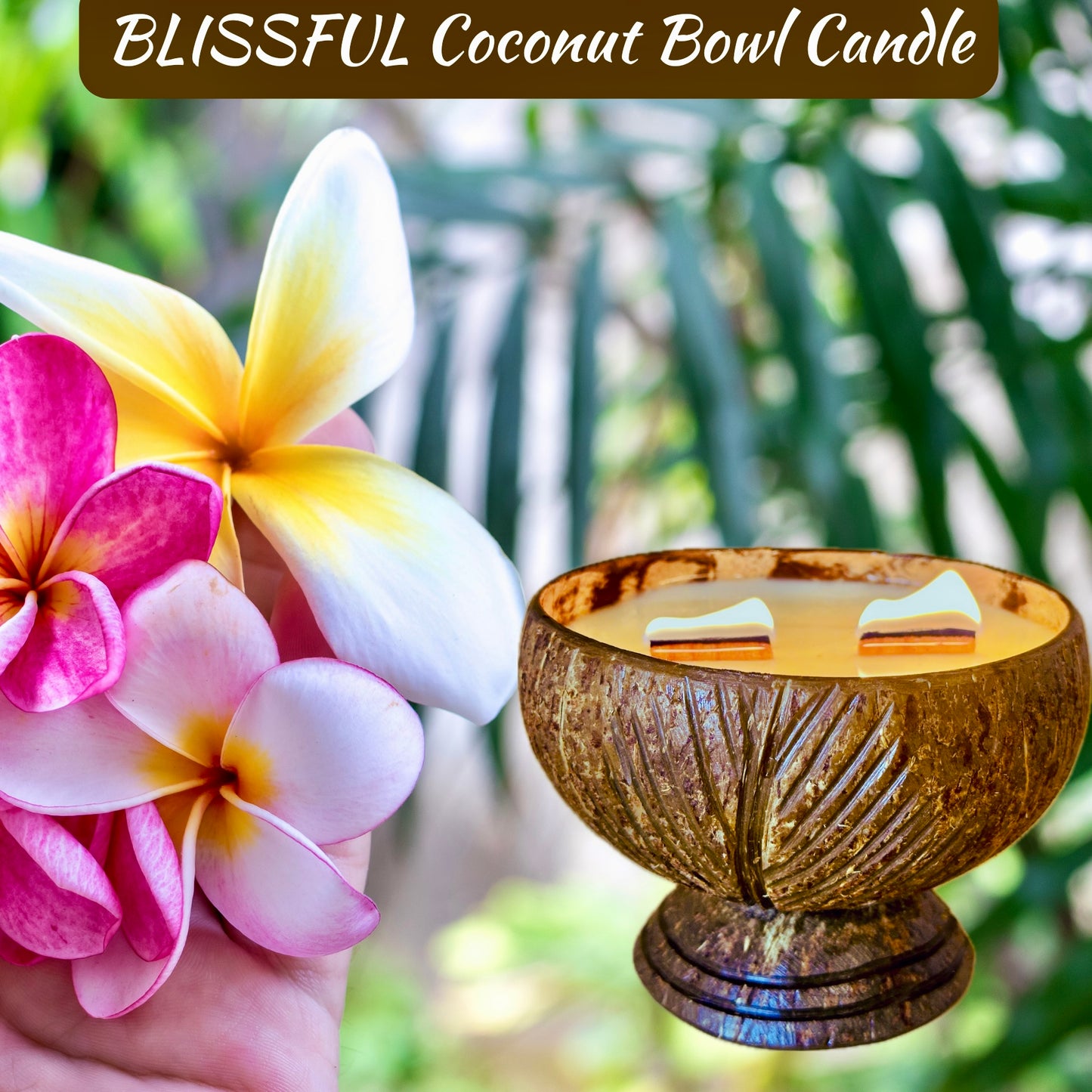 BLISSFUL Coconut Bowl Candle