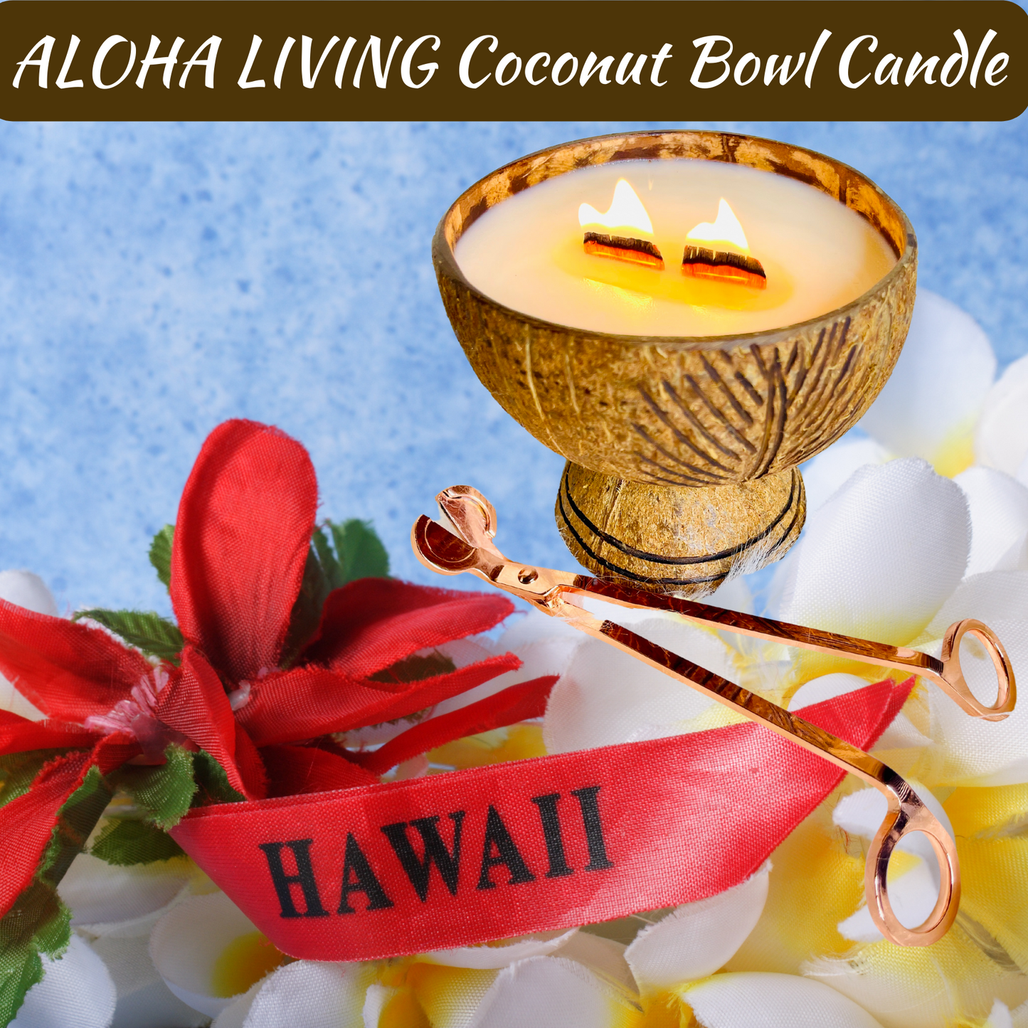 ALOHA LIVING Coconut Bowl Candle