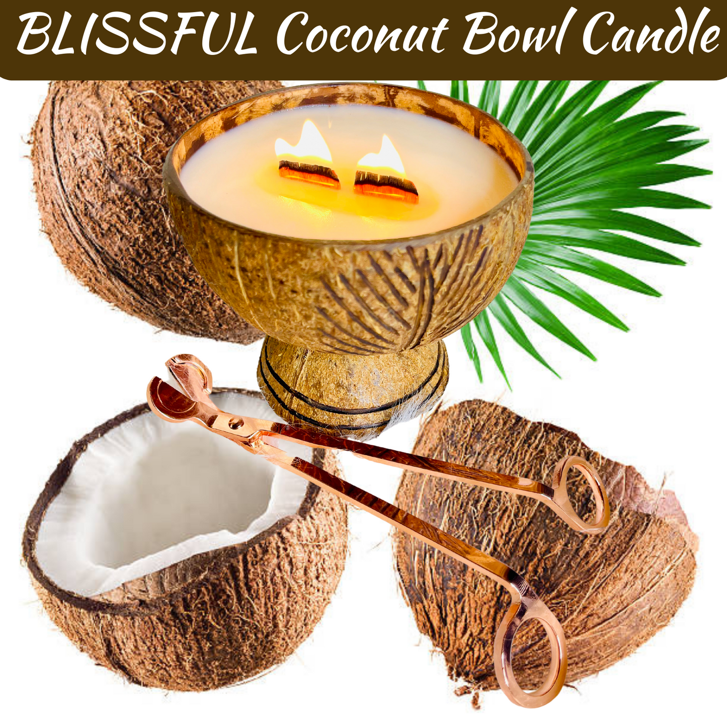 BLISSFUL Coconut Bowl Candle - GlowAmaze