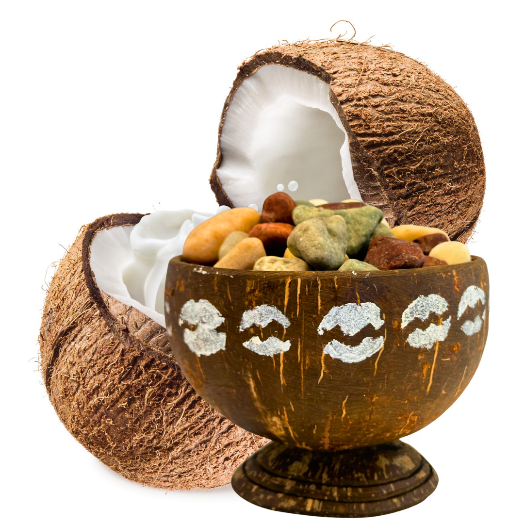 Coconut Bowl Diffuser - COWRIE Design